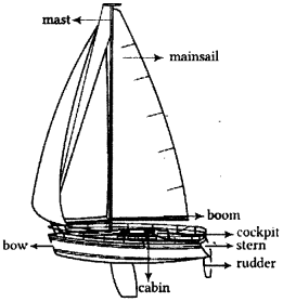 NCERT Solutions for Class 11 English Hornbill Chapter 2 We’re Not Afraid to Die…if We Can All Be Together 2