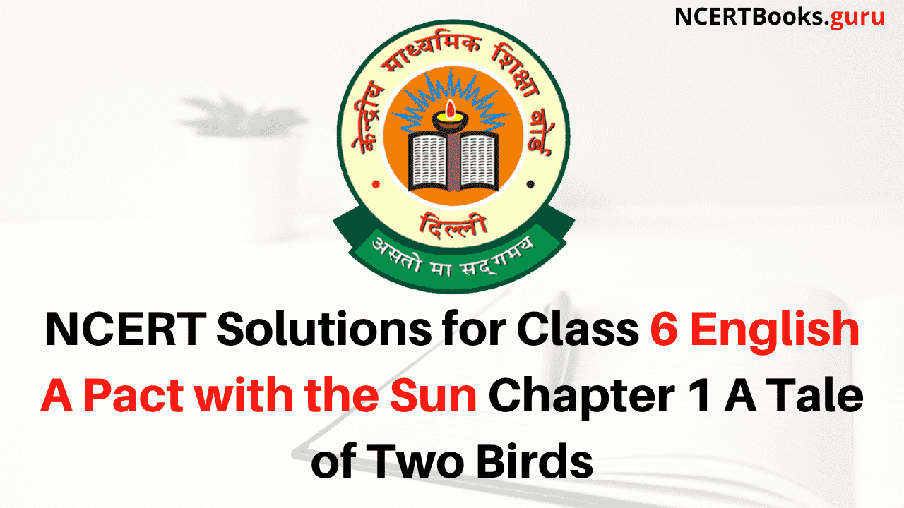NCERT Solutions for Class 6 English A Pact with the Sun Chapter 1 A Tale of Two Birds