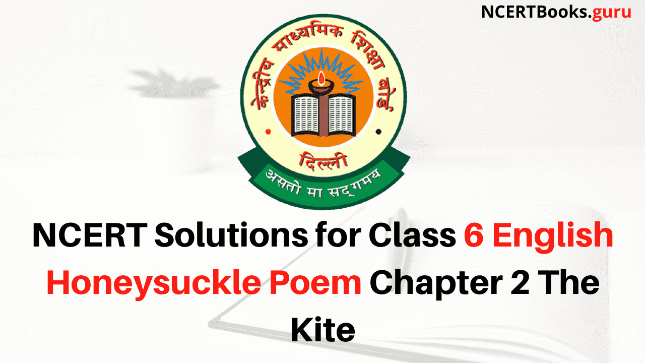 NCERT Solutions for Class 6 English Honeysuckle Poem Chapter 2 The Kite