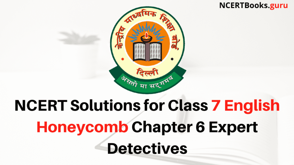 NCERT Solutions for Class 7 English Honeycomb Chapter 6 Expert Detectives
