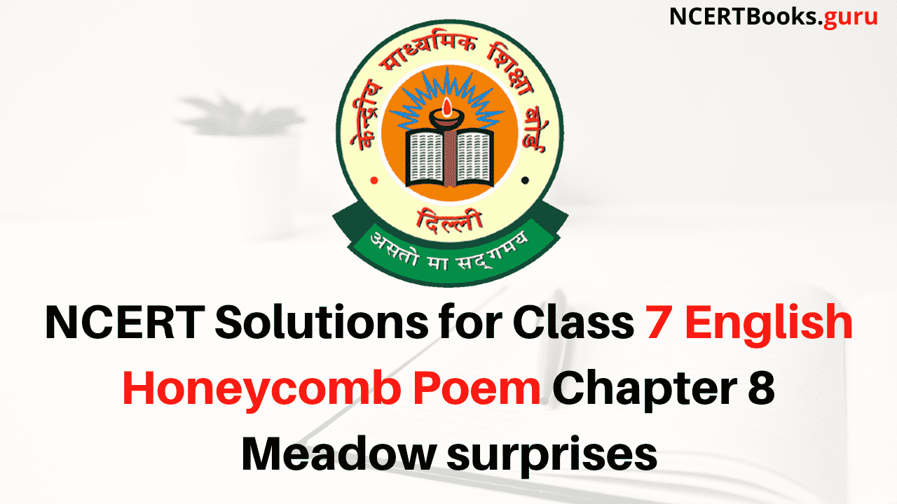 NCERT Solutions for Class 7 English Honeycomb Poem Chapter 8 Meadow surprises