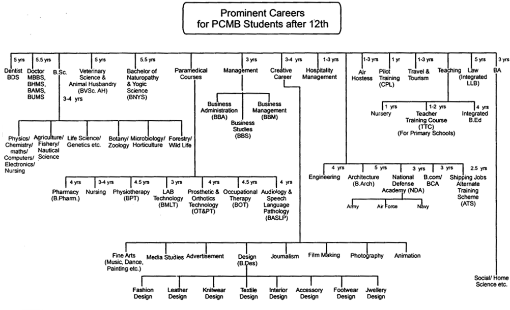 Prominent Careers for PCMB Students after 12th