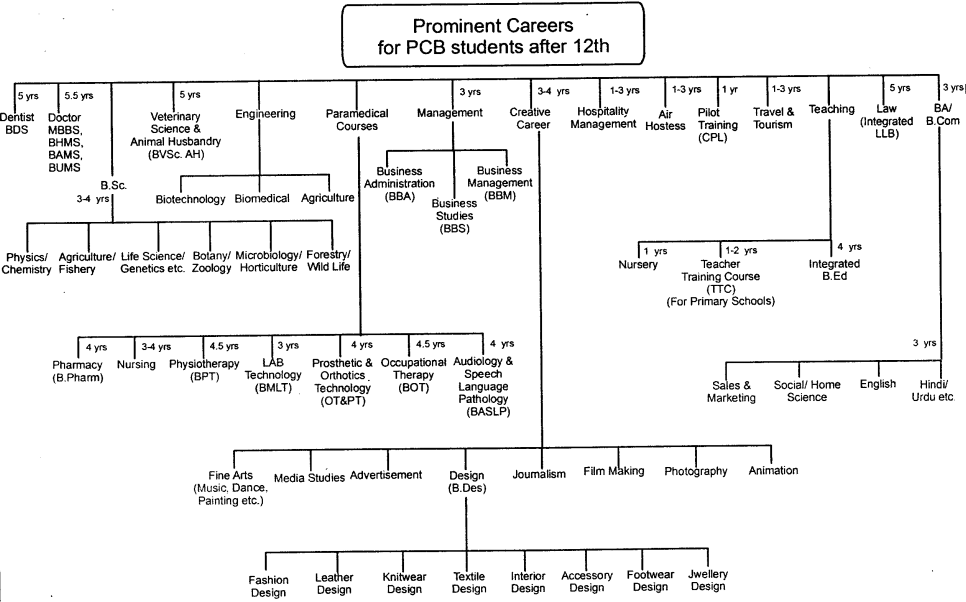 Prominent Careers for PCB students after 12th