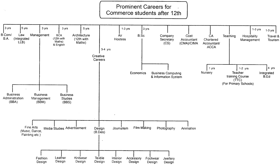 Prominent Careers for Commerce students after 12th 