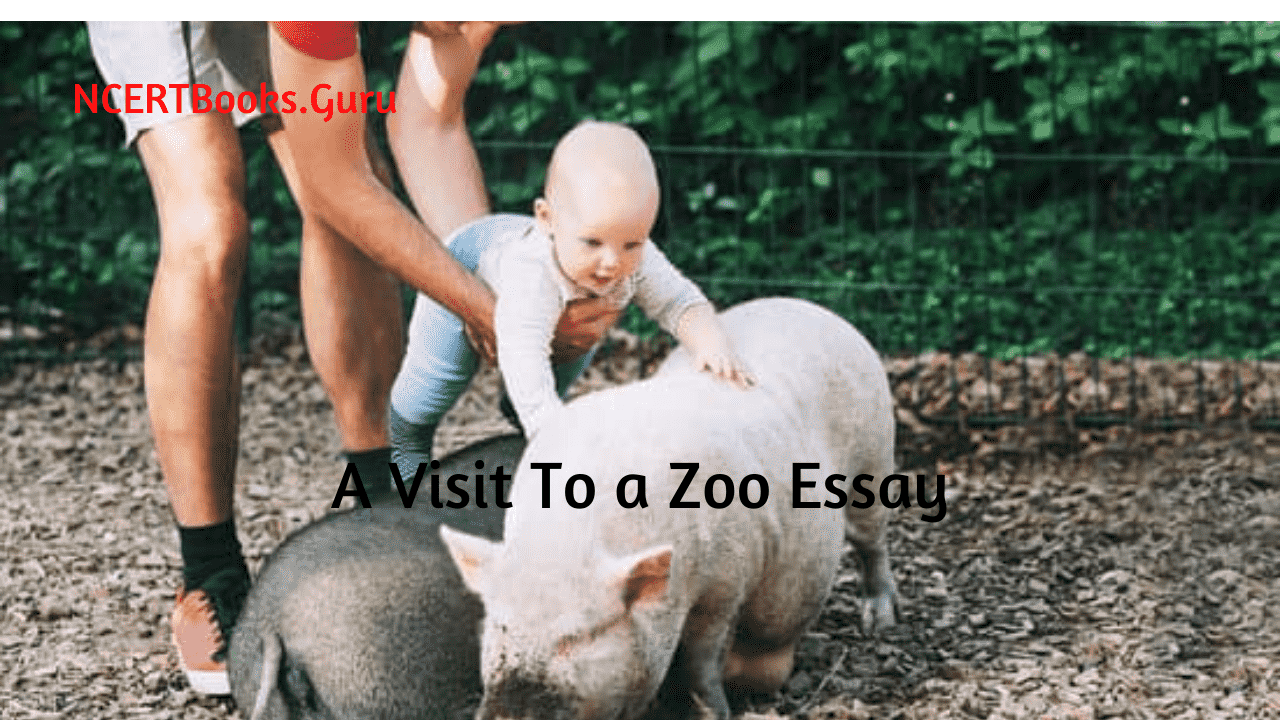 short note on visit to zoo