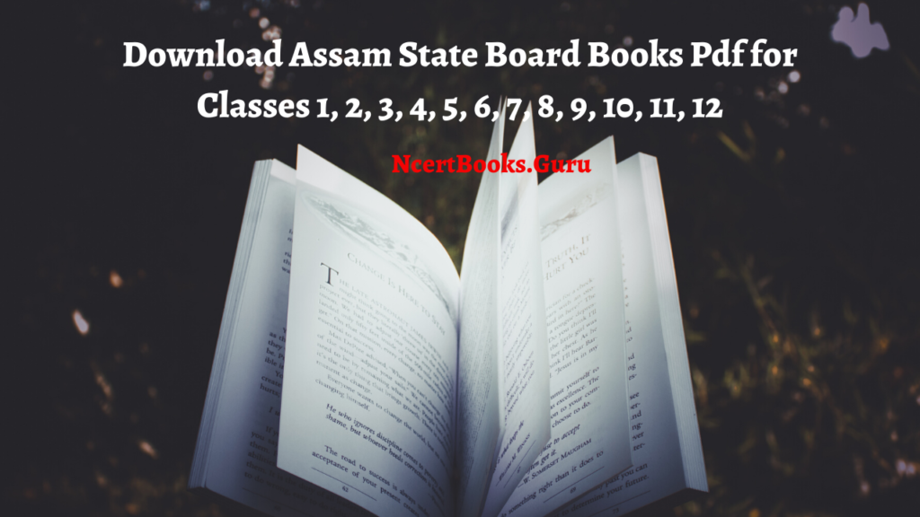 Assam State Board Books