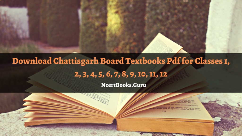 Chattisgarh Board Textbooks