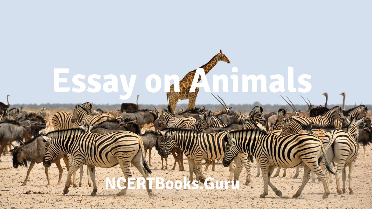 Essay on Animals in English | Long & Short Essay on Animals for Kids Essay on Animals in English | Long & Short Essay on Animals for Kids