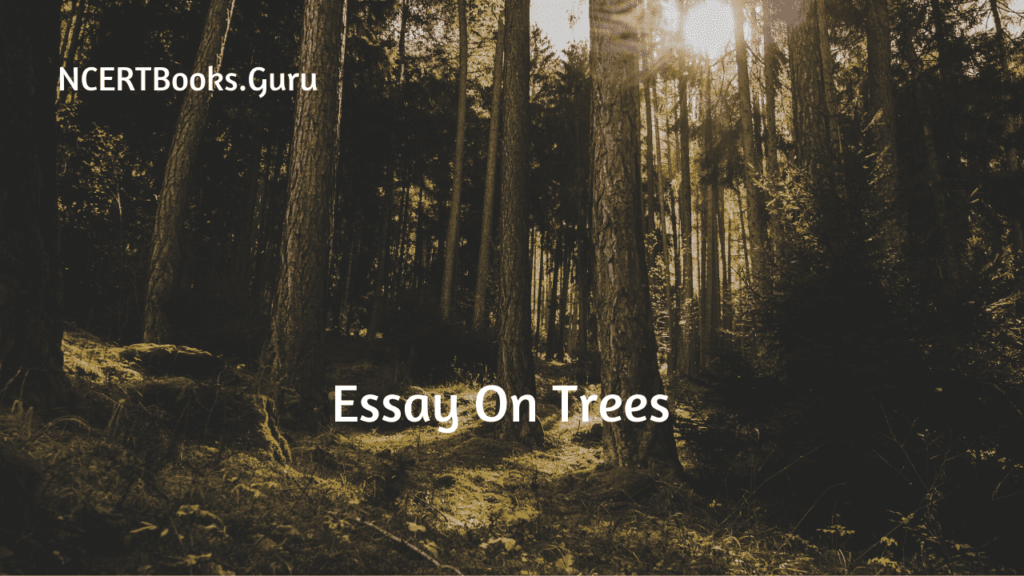 Essay On Trees