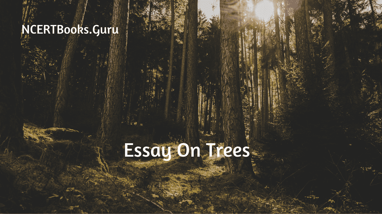 500 words essay about trees