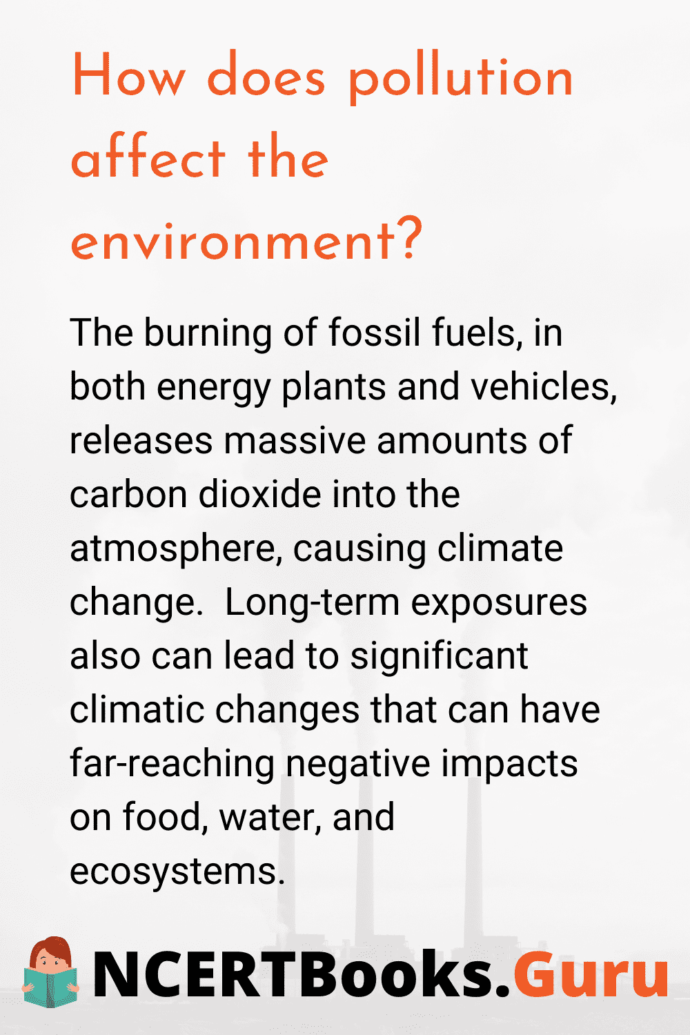 How does Pollution affect the Environment