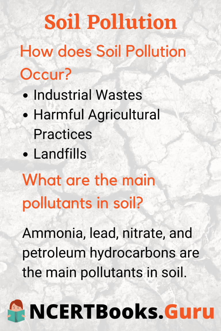 essay on effect of soil pollution