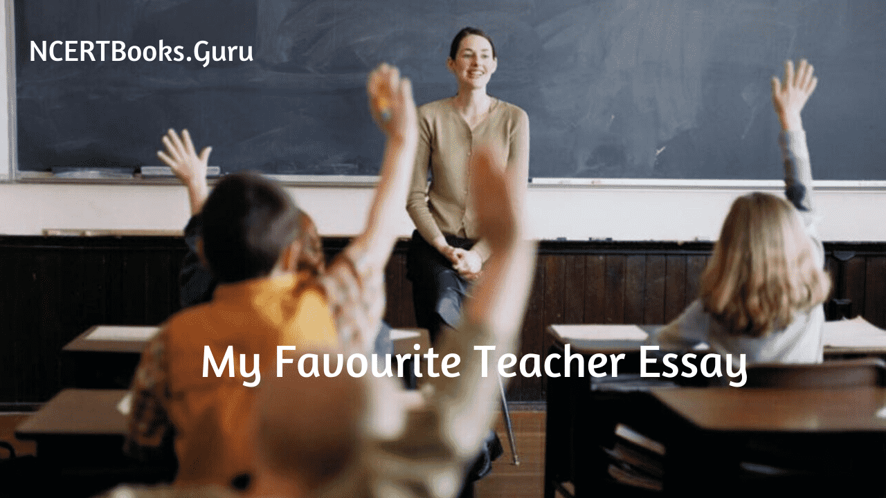 essay my best teacher in english class 6