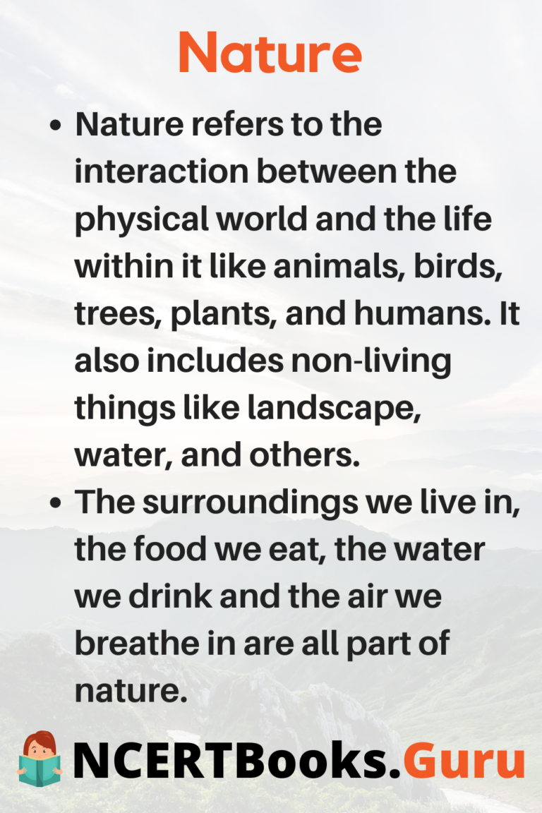 the nature is our friend essay