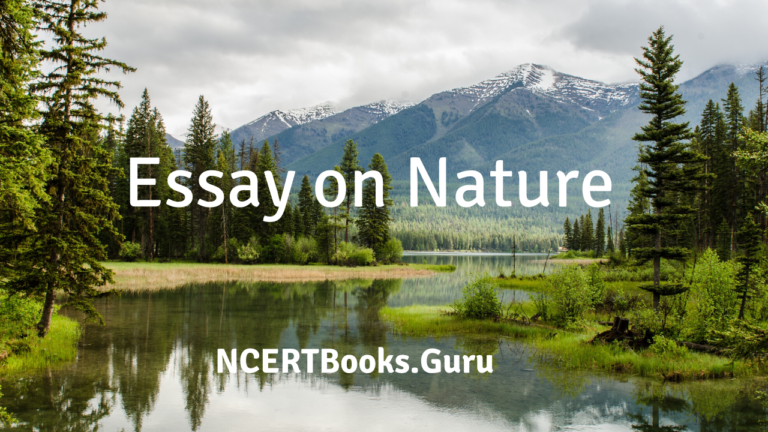 essay about love nature
