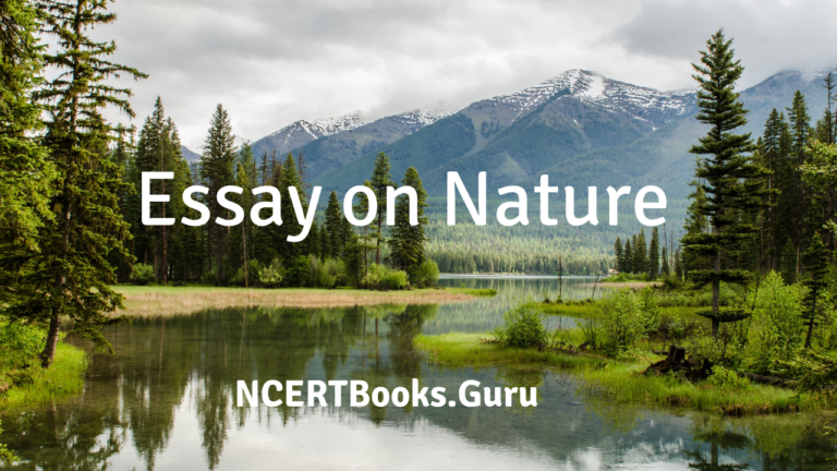 essay writing on natural