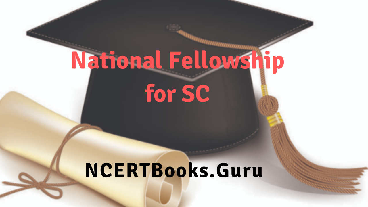 ncert phd fellowship 2022