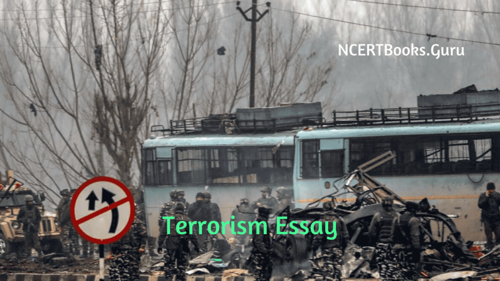 Terrorism Essay