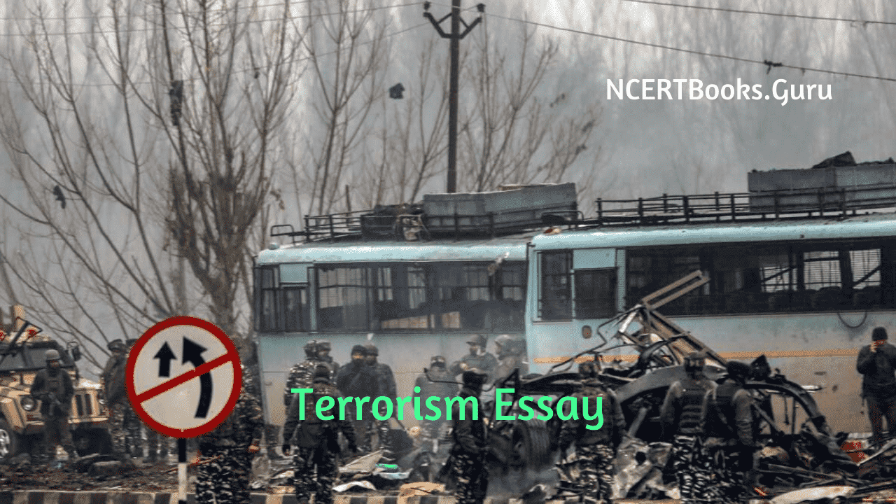 best essay on terrorism in english