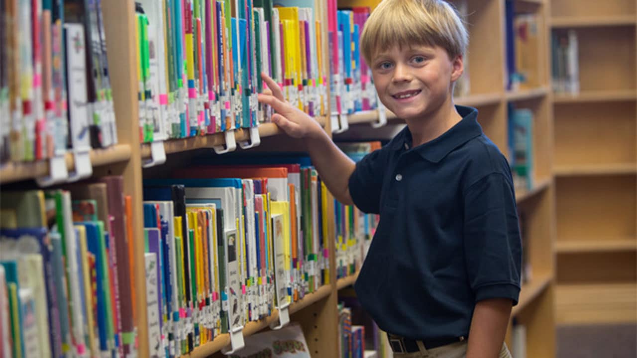 essay a school library