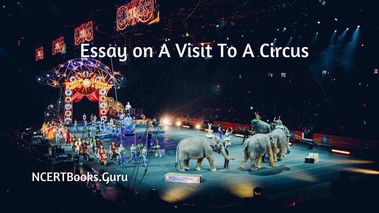 essay about circus