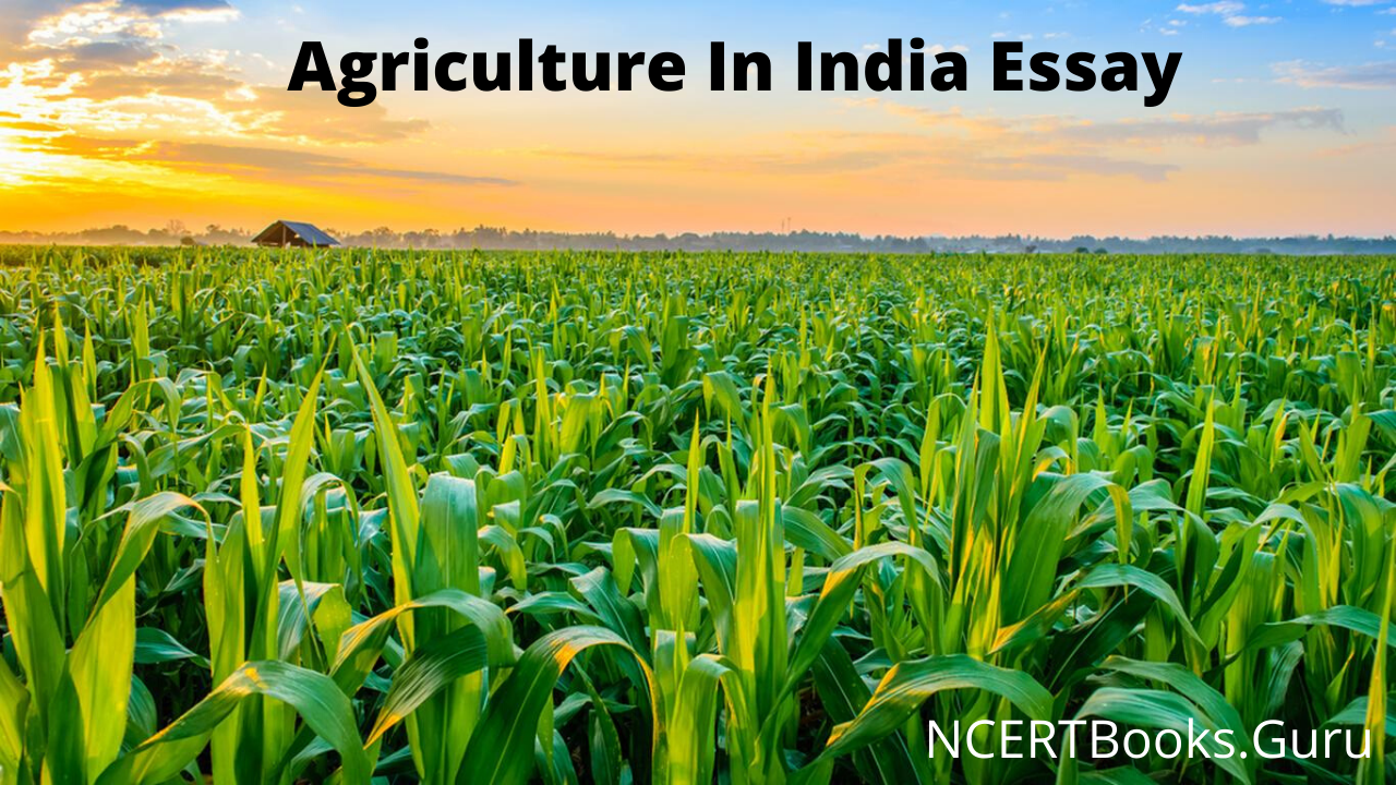 indian agriculture essay in english