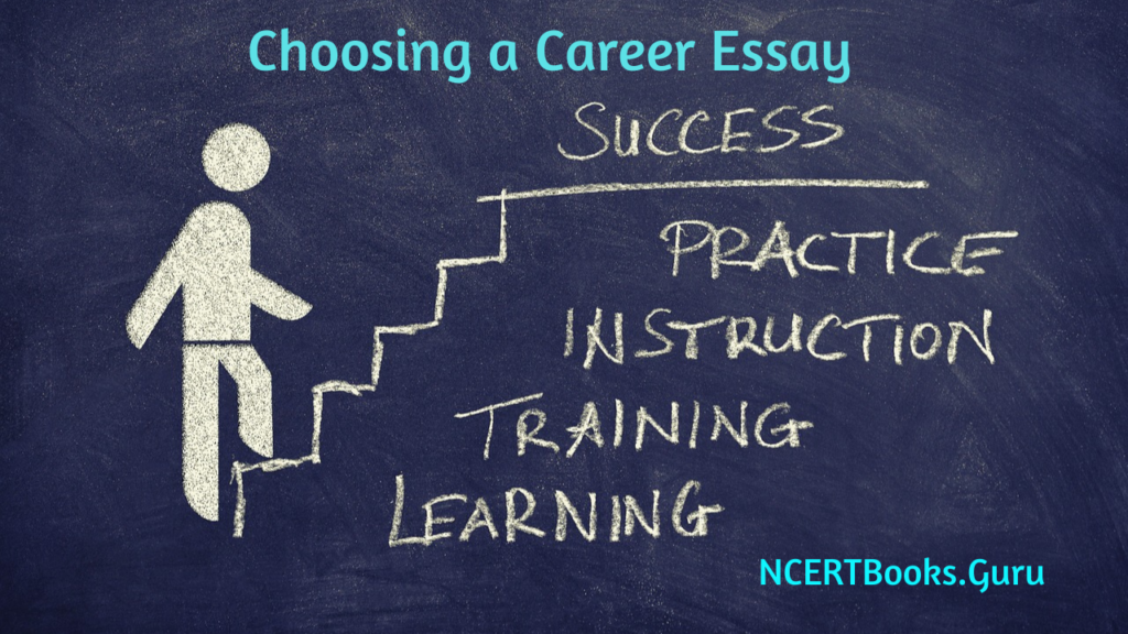 an essay on career choice