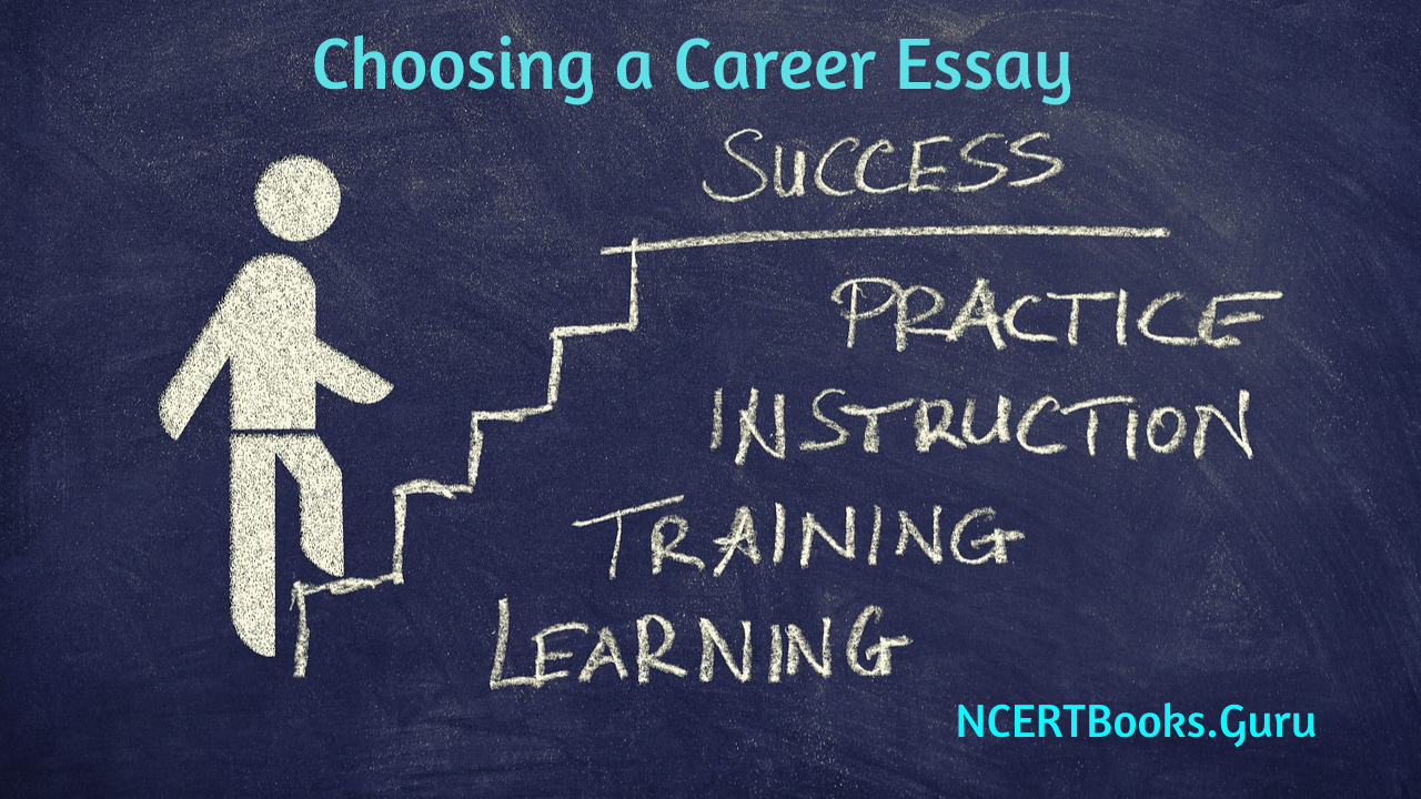 essay on successful career