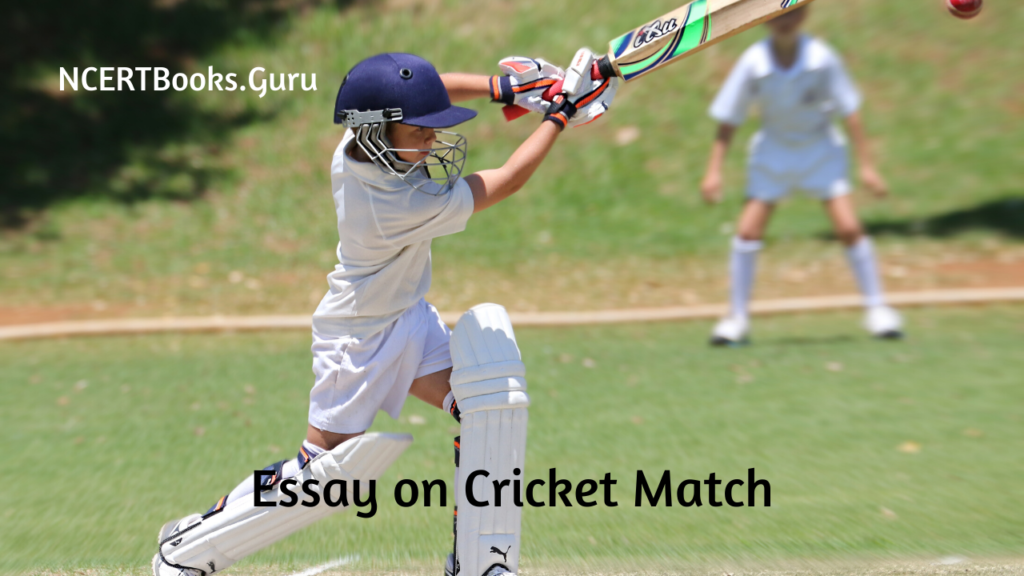 Essay on Cricket Match