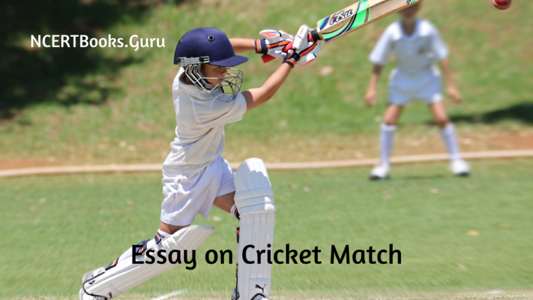 essay on cricket for class 3