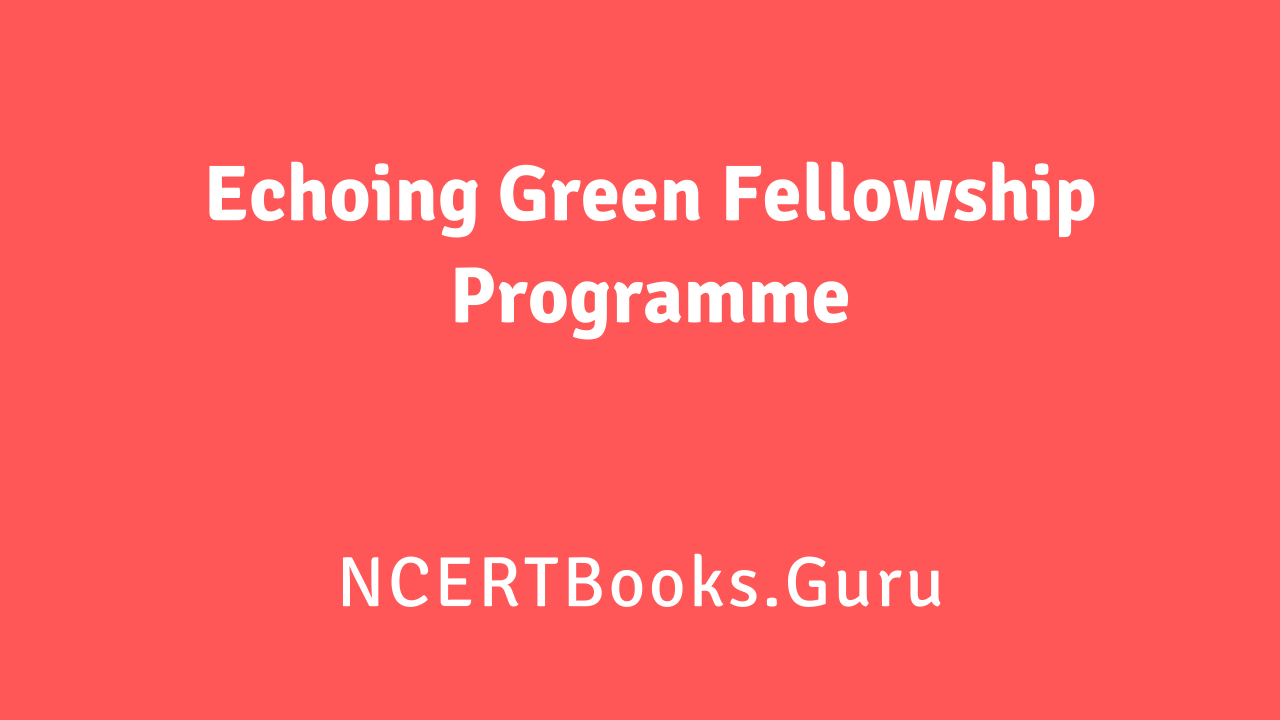 Echoing Green Fellowship