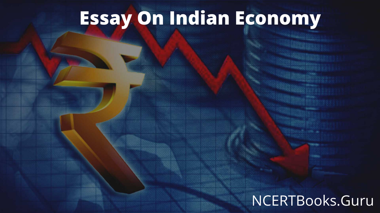 Essay On Indian Economy