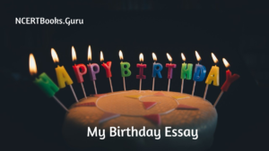 how do you celebrate your birthday essay