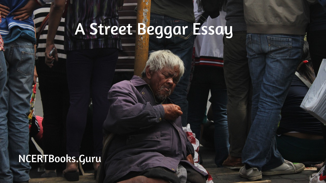 A Street Beggar Essay