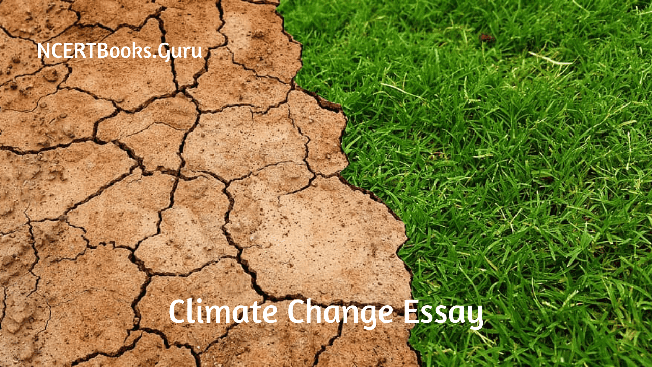 Essay on Climate Change