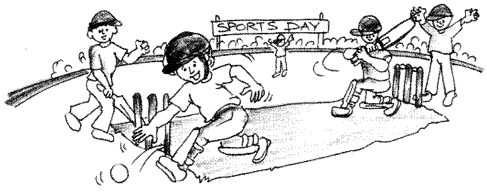 Essay on Cricket Match