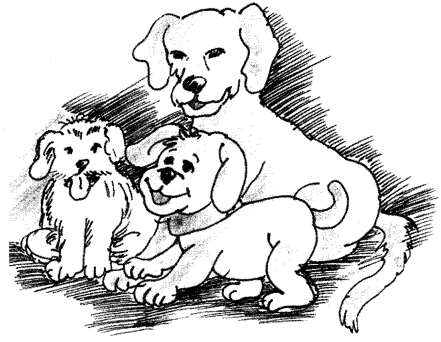 Essay on Dog | Dog Essay for Students and Children in English - NCERT Books