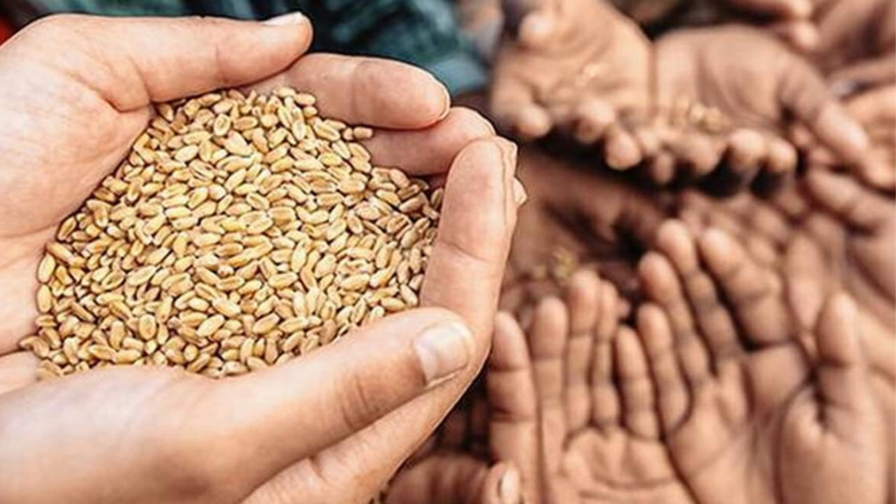 Essay on Food Security in India