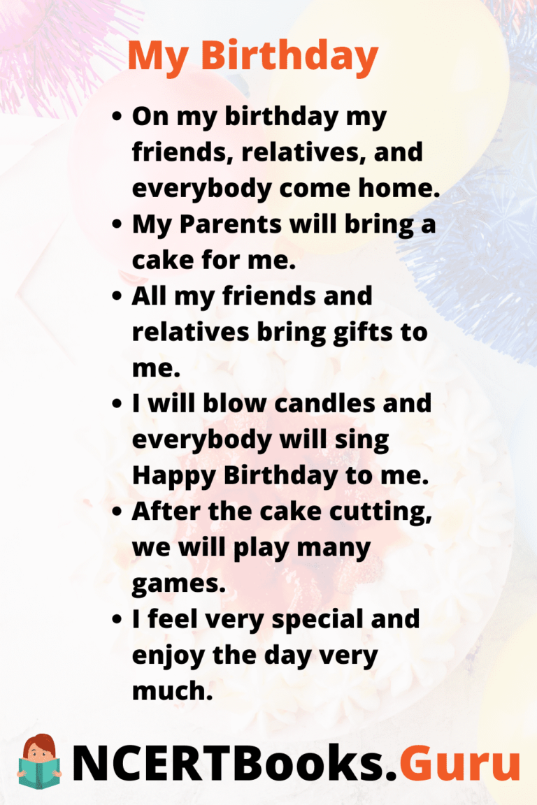 my birthday party essay for class 3