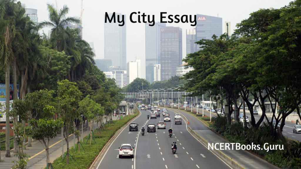 easy essay my city