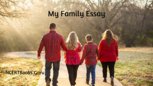 short essay on i love my family