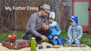 essay about hardworking father