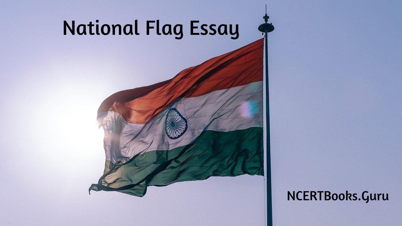 essay writing on national flag in english