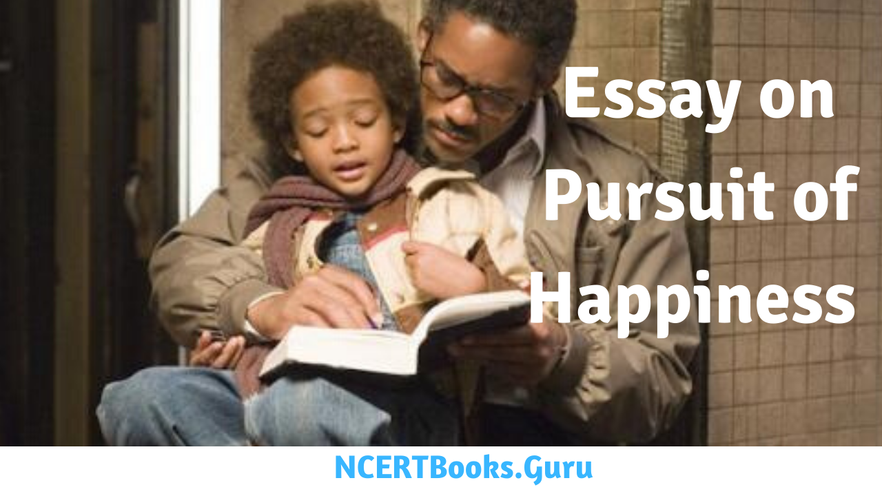 Essay on Pursuit of Happiness