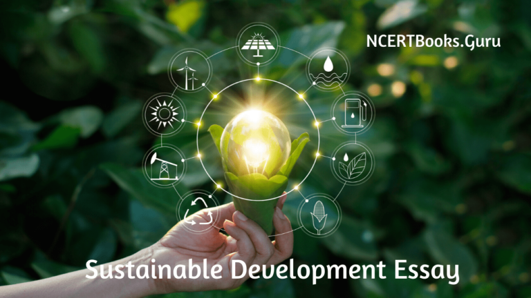 Sustainable Development Essay Essay On Sustainable Development For