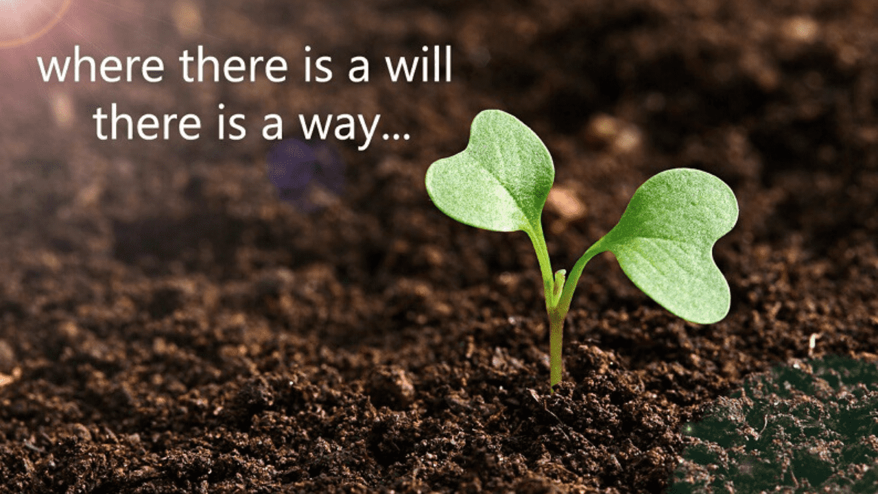 Essay on Where There is a Will There is a Way