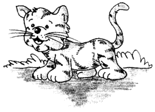 My Pet Cat Essay | Essay on My Pet Cat for Students and Children in English - NCERT Books My Pet Cat Essay | Essay on My Pet Cat for Students and Children in English - NCERT Books