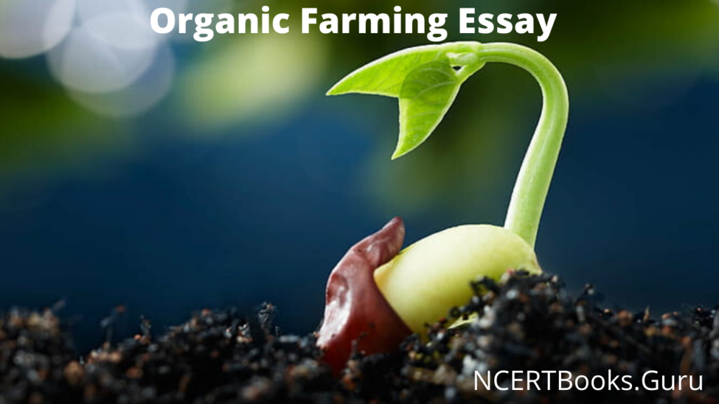 Organic Farming Essay