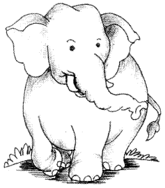 The Elephant Essay