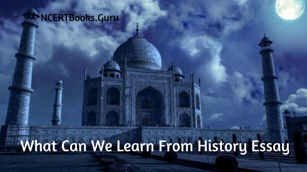 What Can We Learn From History Essay